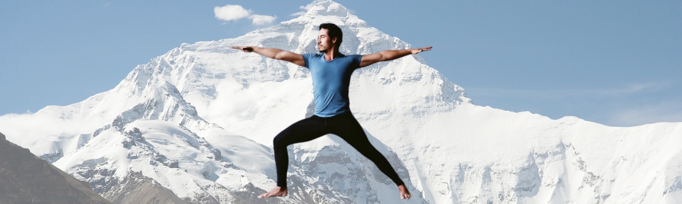 American Yoga Association - IYEC